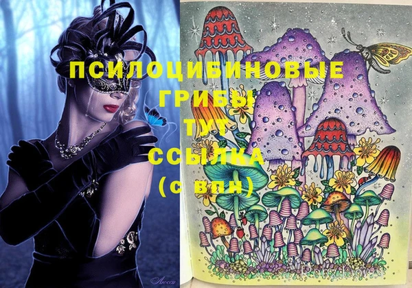 синтетический гашиш Бронницы